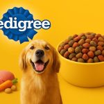 Pedigree Dog Food: Affordable Everyday Choice