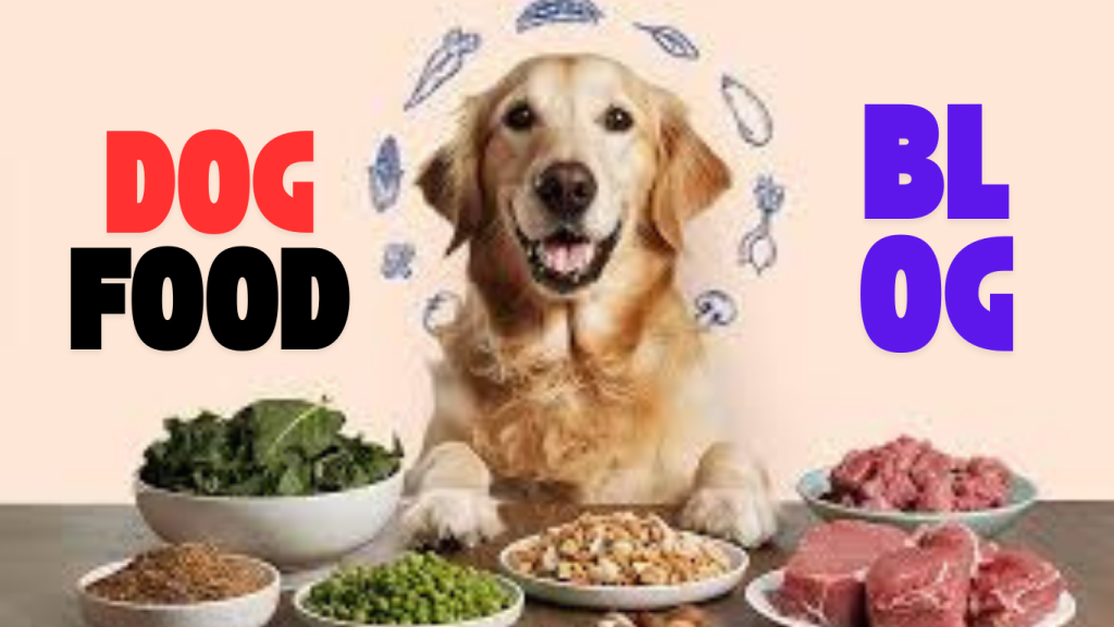 dog food blog